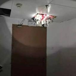 国产内裤天花板视频,揭秘国货新风尚